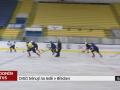 Drtiči trénují na ledě Břeclavi