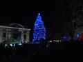Na Masarykově náměstí v Brodě už svítí vánoční strom