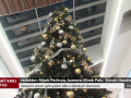 Vánoční strom splní přání dětí z dětských domovů