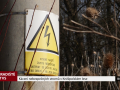 Kácení nebezpečných stromů v Kněžpolském lese