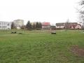 Školní hřiště u ZŠ Žerotínova se dočká oprav za více než 20 milionů