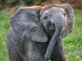 I přes tři ztracené měsíce hlásí zlínská zoo rekordní návštěvnost