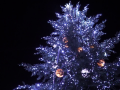 V Uherském Hradišti se v tichosti rozzářil vánoční strom