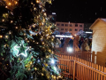 Vánoční atmosféru vykresluje nová světelná výzdoba v parcích