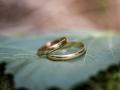 Vsetín hlásí rekordní počet sňatků