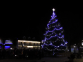 Nejkrásnější vánoční strom mají v Brumově-Bylnici