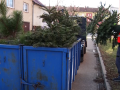 Ve městě probíhá svoz vánočních stromků