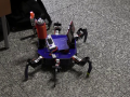 Studenti UTB se stali vítězi mezinárodní robotické soutěže
