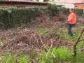 Rekonstrukce stacionáře začala úklidem zahrady