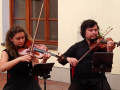 Festival Concentus Moraviae přinesl hudbu George Enescu