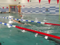 Hodonínští plavci zvítězili v Českém poháru dálkového plavání