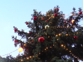 V Napajedlích slavnostně rozsvítili vánoční strom