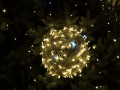 Rozsvícení vánočního stromu si nenechaly ujít stovky lidí