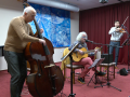 Trio Uhlíř, Jiráň a Bradáč hrálo v rytmu bossa novy, rumby a swingu