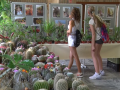 Výstava představila kaktusy a sukulenty ze Sumatry i Kanárských ostrovů