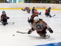 Sledge hokejisté Zlína začínají přípravu na svou pětadvacátou sezonu 