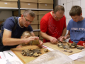 Archeologové ukazovali lidem, jak se z nálezu stává exponát vystavený v muzeu
