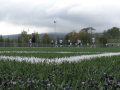Hřiště s umělou trávou ve Valašském Meziříčí už slouží sportovcům