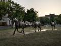 Park Komenského ozdobí nové sochy. Osvědčený umělec tentokrát představí koně a jezdce z bronzu