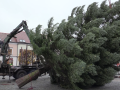 Na náměstí v Kyjově jsou letos dva vánoční stromy