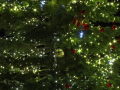 Rozsvícení vánočního stromu v Kyjově provázely adventní trhy