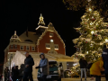 Děti svými zvonečky opět v Hodoníně pomohly rozsvítit vánoční strom 