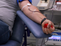 Počet odběrů krve se ve Vsetíně za deset let zdvojnásobil. Letos chce nemocnice cílit na sportovce a hasiče