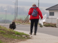V Uherském Brodě se blíží termín uhrazení poplatků za psy
