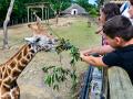 Vstupné do zlínské zoo bude každý pátek v září a říjnu jen za 100 korun