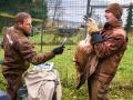 Zlínská zoo patří k nejúspěšnějším chovatelům supů na světě