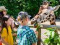 Rok 2024 byl pro zlínskou zoo třetím nejúspěšnějším v historii