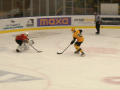 Junioři VHK ROBE porazili Hvězdu Praha 10:0