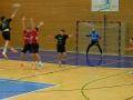 KH Vsetín prohrál s HAOLK Velká Bystřice-Olomouc 26:32