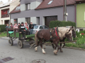 Zarazické dny nabídly dvoudenní program pro všechny generace