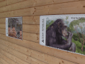 Hodonínská zoo slaví výročí založení množstvím kulturních a zážitkových akcí