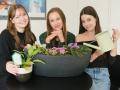Z nevinného nápadu studentek zelená revoluce! Adopce rostlin na UTB zútulňuje okolí a posiluje komunitu