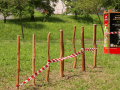 Na sídlišti Pod Vinohrady vzniká nové psí hřiště