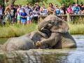 Zlínská zoo útočí na návštěvnický rekord! Každý pátek v září a říjnu bude vstupné jen za stovku