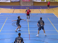 Nohejbalisté NK AUSTIN Vsetín v play-off porazili Čelákovice