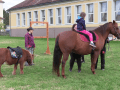 Odpoledne statkářství a řemesel nabídlo šlapání hroznů i jízdu na koni