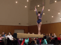 Vodácký ples zahájily gymnastky, parket roztančil rock